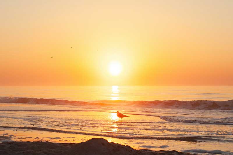 Coastal Wonders Discovering the Best Beaches in the United States