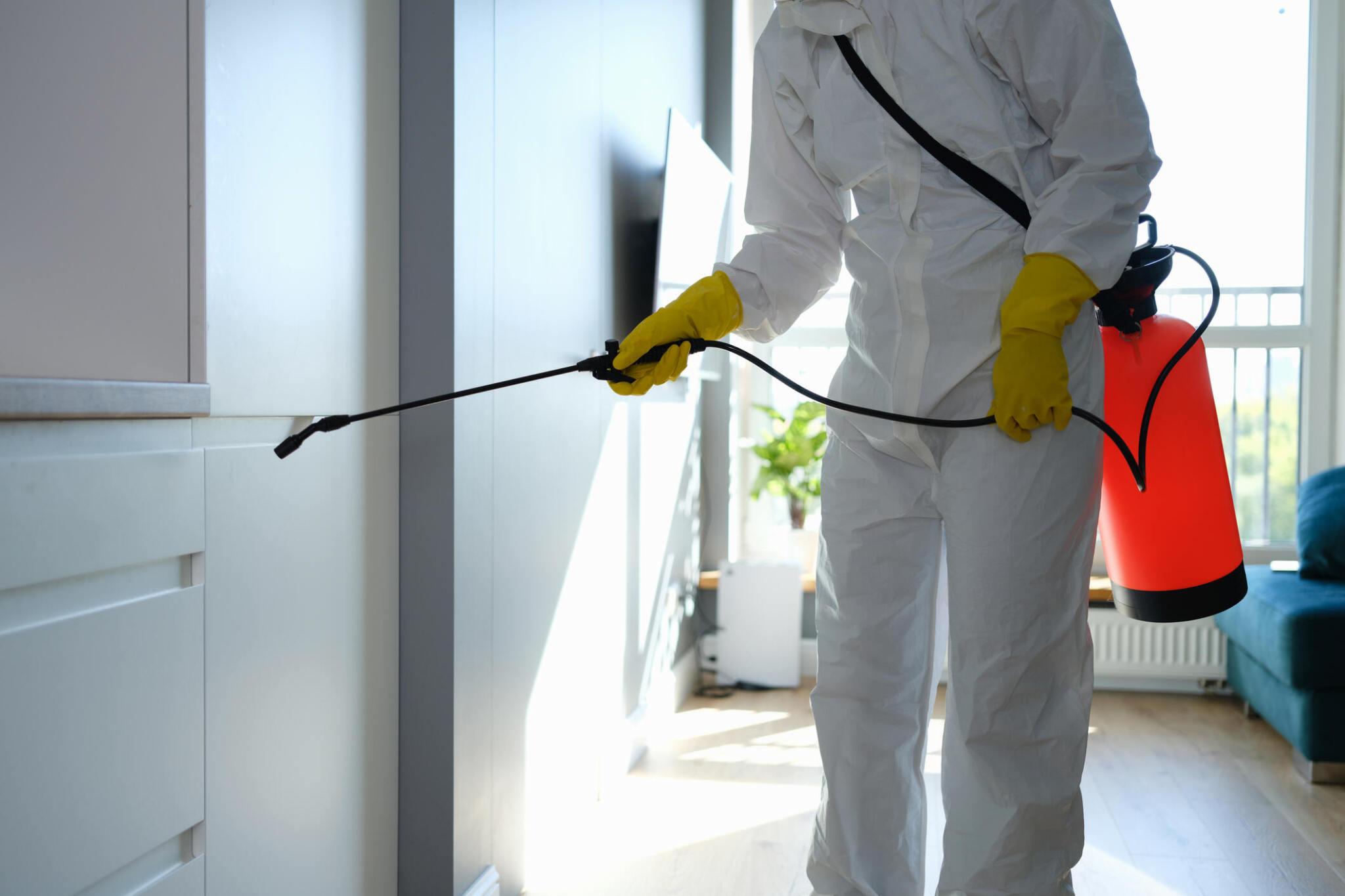 Fixing Flying Ants in Your Home During the Summer Months