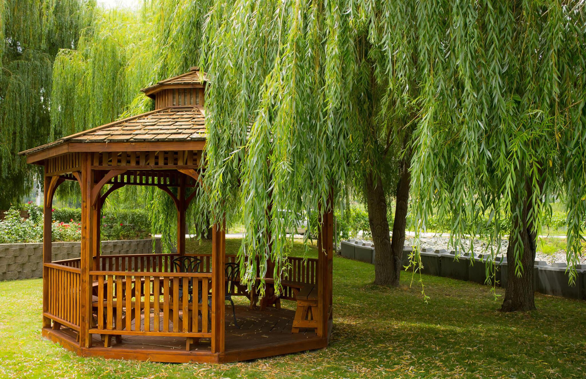 Cenadores clásicos para un encanto atemporal