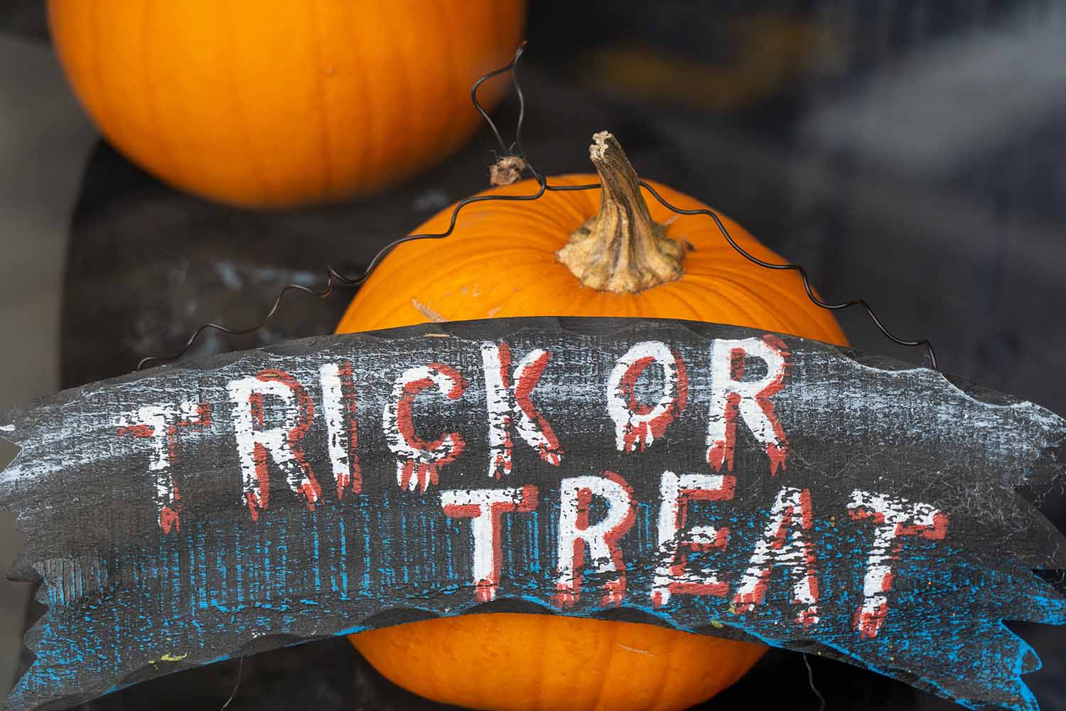 Pumpkin photography Ideas