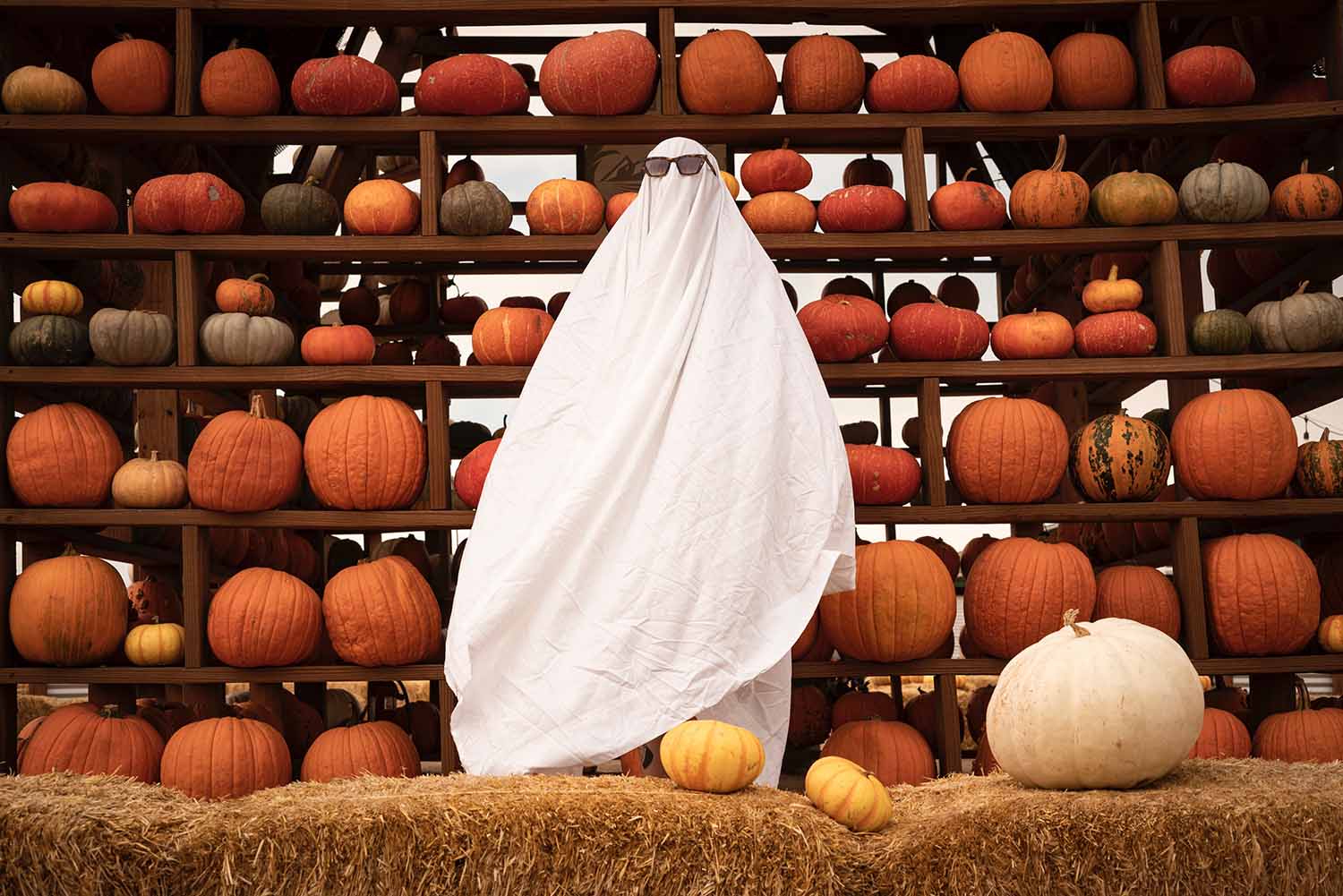 Ideas for fall pumpkin photoshoot ideas