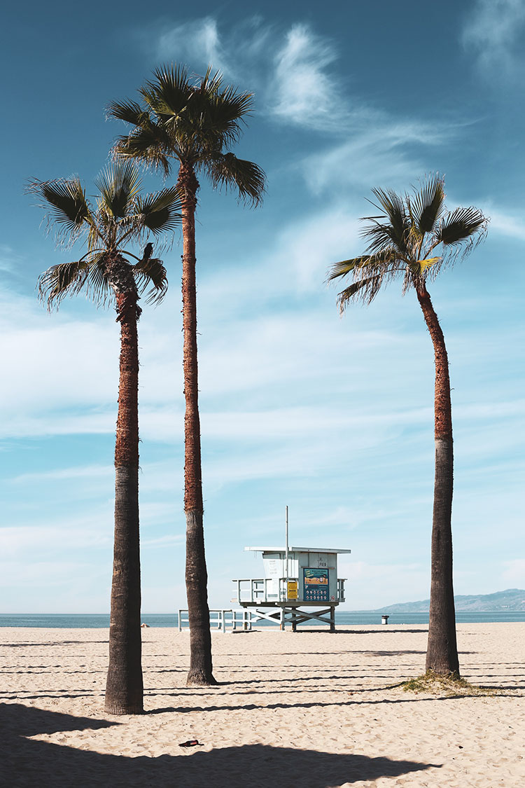 Photohoot de Veneza Beach.