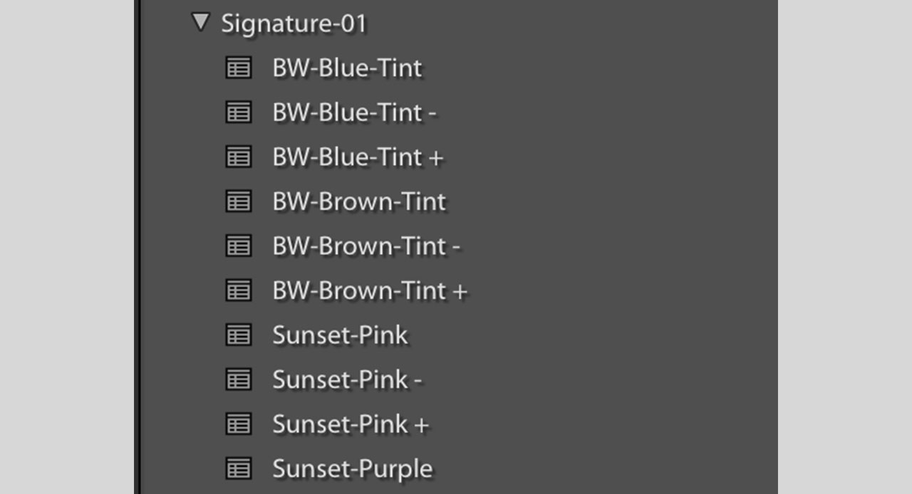 lightroom preset tab, user presets