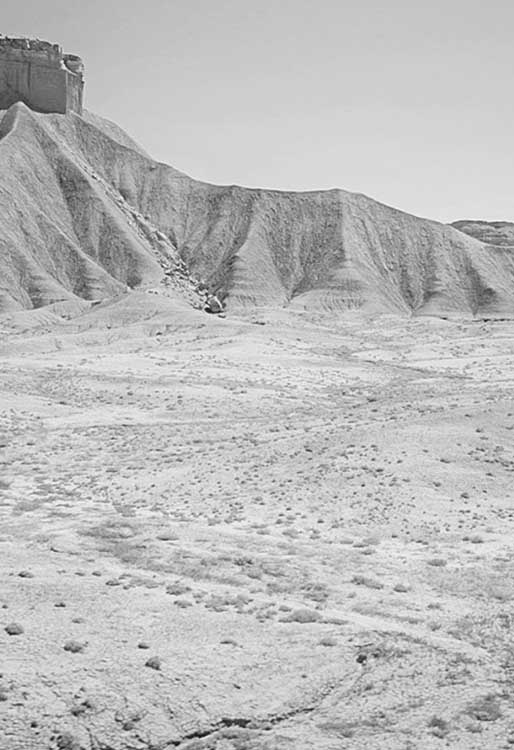 Detailed Desert Photograph |Wall art work | desert wallpaper